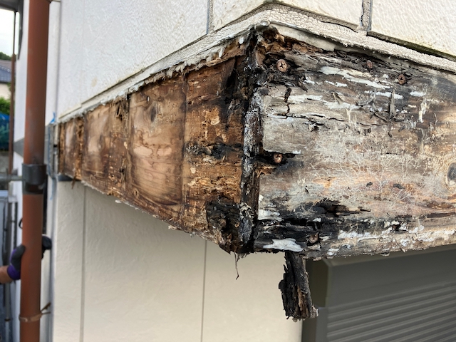 腐食した軒天周辺